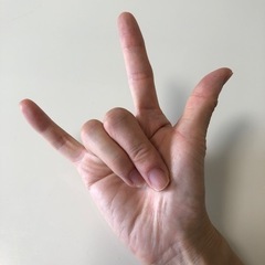 手話🤟でお話出来るお友達！