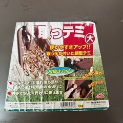 取ってみ　テミ 