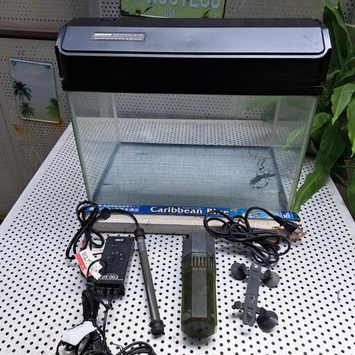 熱帯魚メダカ45cmガラス水槽