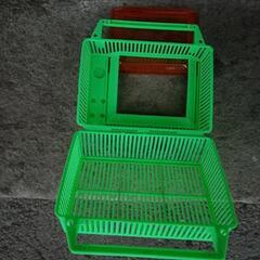 虫かご　夏休み昆虫採集　多数ありますの画像