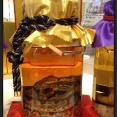 マムシ酒 ハブ酒 求むっ‼️