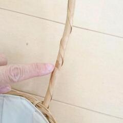 生活雑貨 家庭用品 ガーデニングの画像