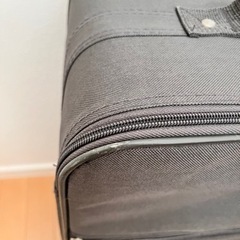 キャリーバッグの画像