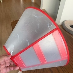 犬用エリザベスカラーの画像