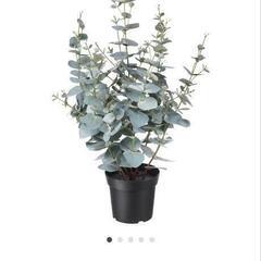 IKEA 人工観葉植物　Fejkaの画像