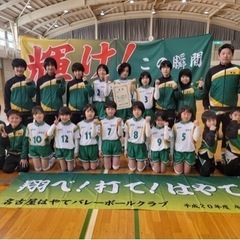 【名古屋市中心】小学生バレーボール・メンバー募集中!!の画像