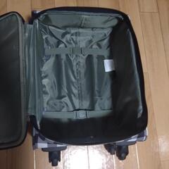 キャリーの画像