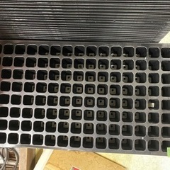 🌷 セルの苗床 排水ホール付75枚まとめ売切り2-1【農機具地域...