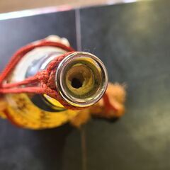 【愛品館 市原店】法螺貝全長31cm神具楽器笛の画像