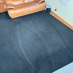 大きめカーペット
