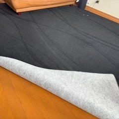 大きめカーペットの画像