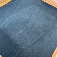 大きめカーペットの画像