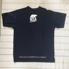 値下げ  チャンピオン製半袖　練習着　メンズＭ　紺色 (ＵＣＬＡ ロゴマーク有り)の画像