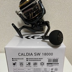 ダイワ　カルディアsw18000 ⚠️キャンセルでました購入できます⚠️⭐️美品ダイワ カルディアSW18000