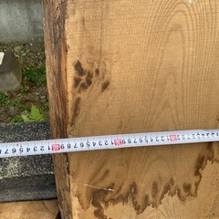 加工用木材の画像
