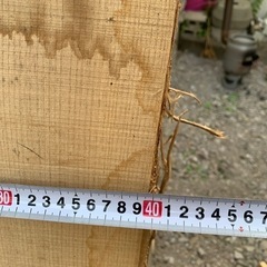 加工用木材③の画像