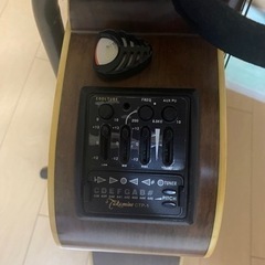 タカミネギターの画像