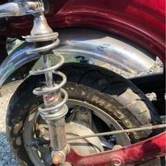 ダックス
の画像