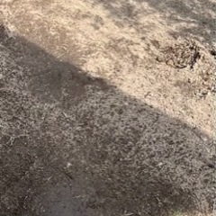 残土3立米程【明日7/18限定無料お引き渡し】ダンプにて運びます