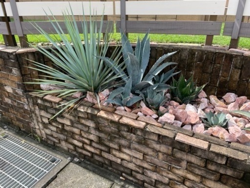 ロックガーデンの石