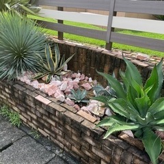 ロックガーデンの石の画像
