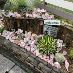 ロックガーデンの石の画像