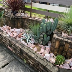 ロックガーデンの石の画像