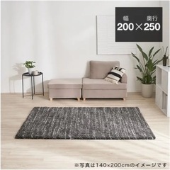 【sold】[200×250] Lサイズ　長方形　ラグ　ウィルト...