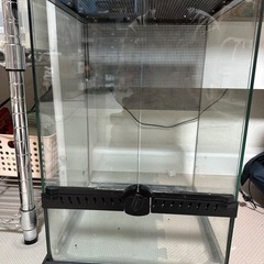 【2台目まとめ割】フォレストタンク　爬虫類  ケージ 