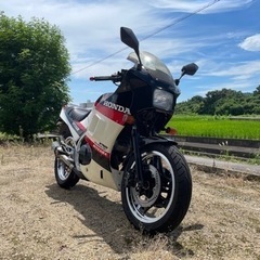 (お話し中)HONDA  VT 250F(シーズン到来🏍️) の画像