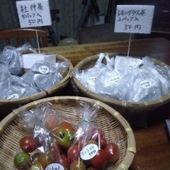 新鮮野菜コーナー7月18日の品出し予定です。の画像