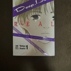 DEEP LOVE 全巻セット  の画像