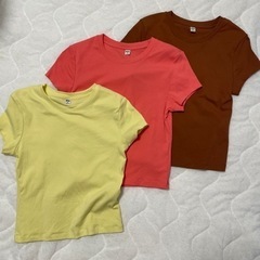ユニクロ　カラーTシャツ