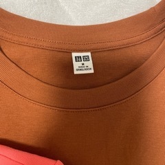 ユニクロ　カラーTシャツの画像