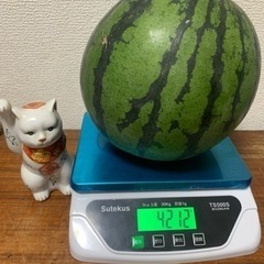 美味しいスイカ