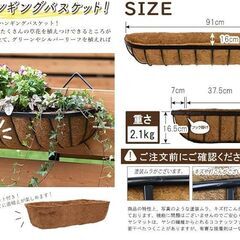 アイビー & コルジリネ・レッドスター寄植え 壁掛け90cmワイドプランターの画像