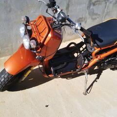 ズーマー　カスタム多数　50cc