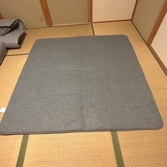 絨毯・下敷きカーペットセット