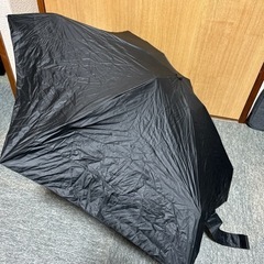日傘　wpc