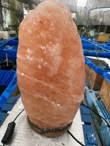 ヒマラヤ岩塩ランプ特大