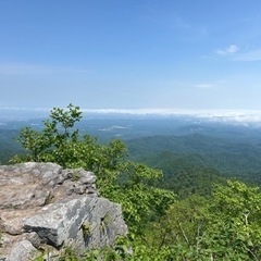 山友募集します！