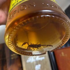 【高級メスカル(テキーラ)】スコーピオン(サソリ当たりボトル)、ドンフリオ、クラセアスール(極上美品)の3本セットの画像
