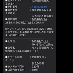 モエレ沼花火大会チケットの画像