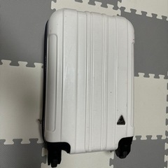 【決まりました】キャリーケース