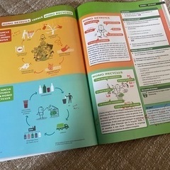 フランス語教材の画像