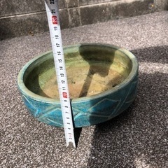 鉢　陶器　盆栽の画像