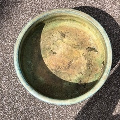 鉢　陶器　盆栽の画像