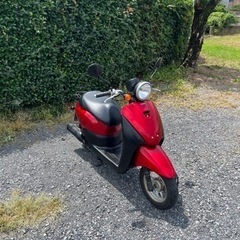 843.　動画あり　ホンダ　AF67トゥデイ　FI 原付　バイク　50cc   車体　埼玉の画像