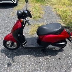 843.　動画あり　ホンダ　AF67トゥデイ　FI 原付　バイク　50cc   車体　埼玉の画像