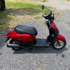 843.　動画あり　ホンダ　AF67トゥデイ　FI 原付　バイク　50cc   車体　埼玉の画像